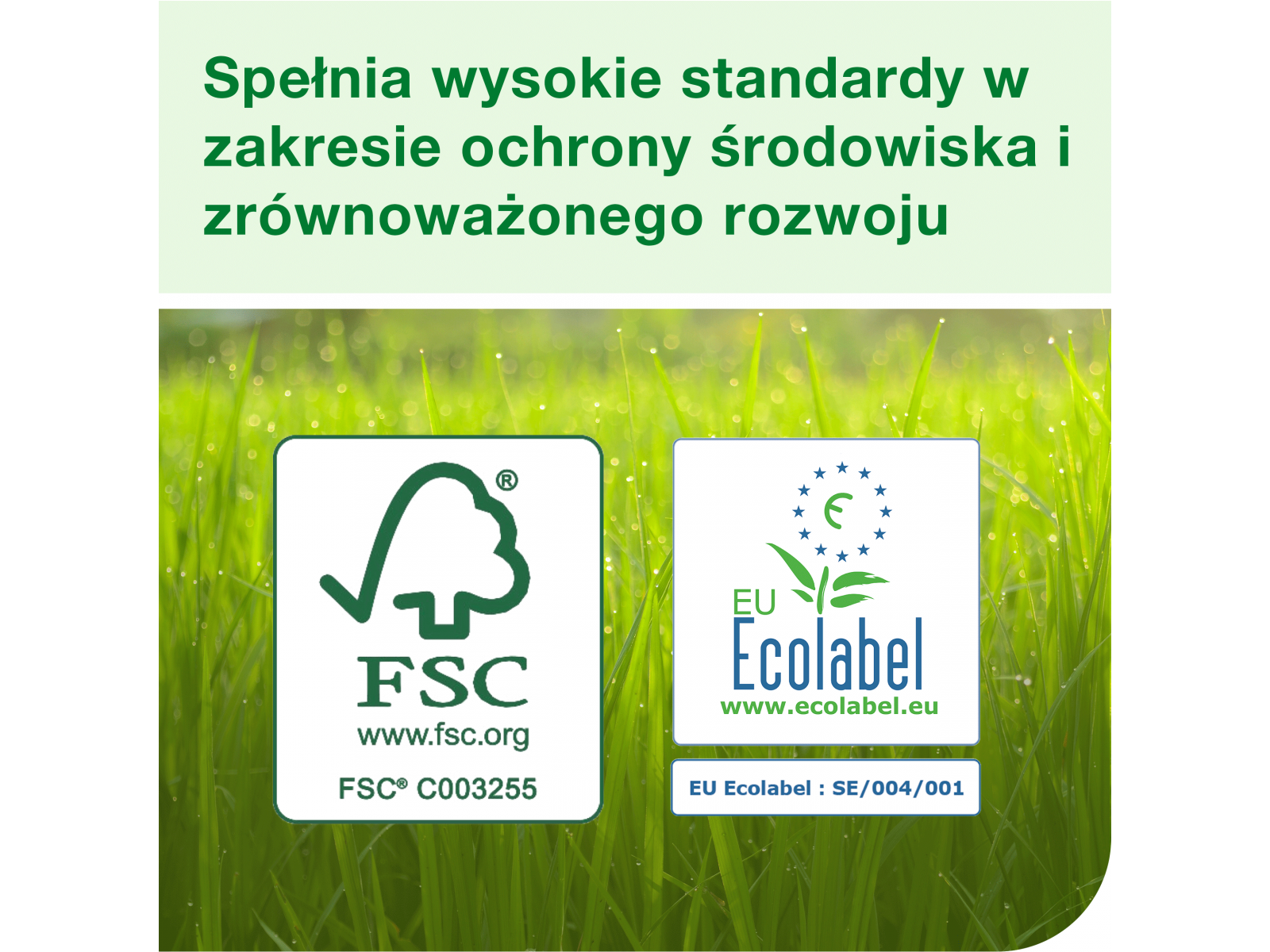 Dodatkowe zdjęcie